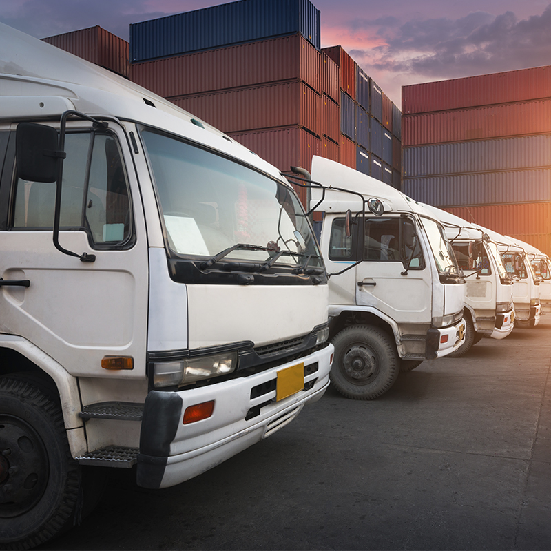 transporte